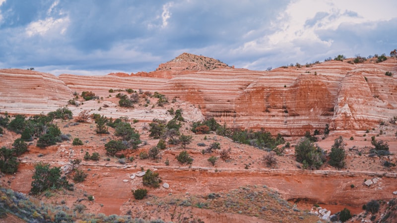 Gallup