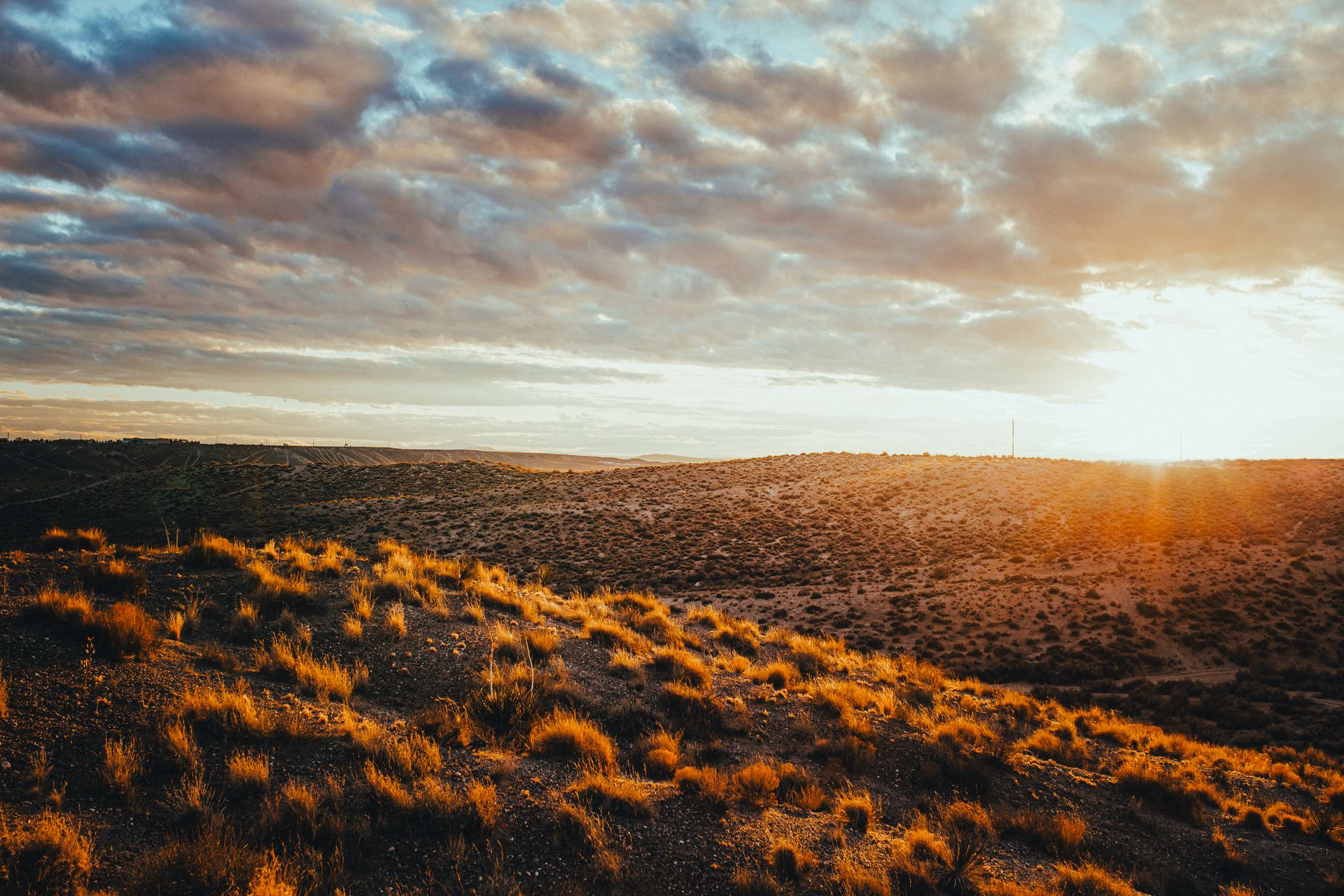 New Mexico high desert landscape at golden hour
