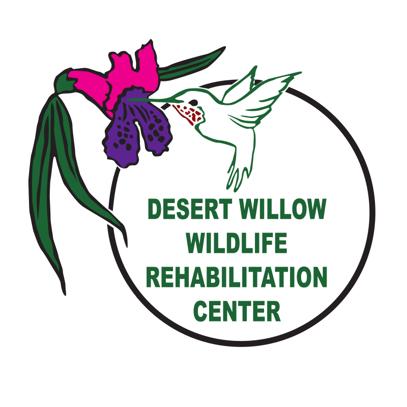 Desert Willow Wildlife Rehabilitation Center logo